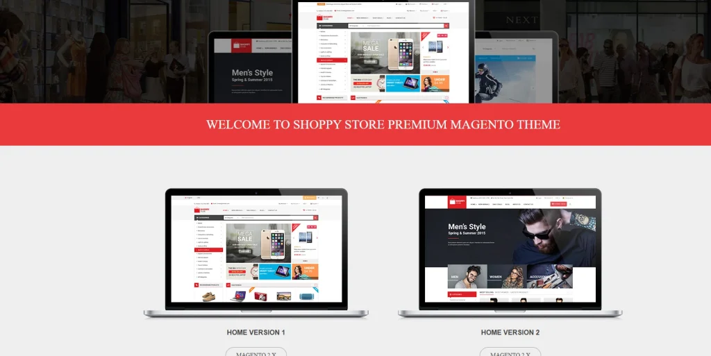 Magento theme