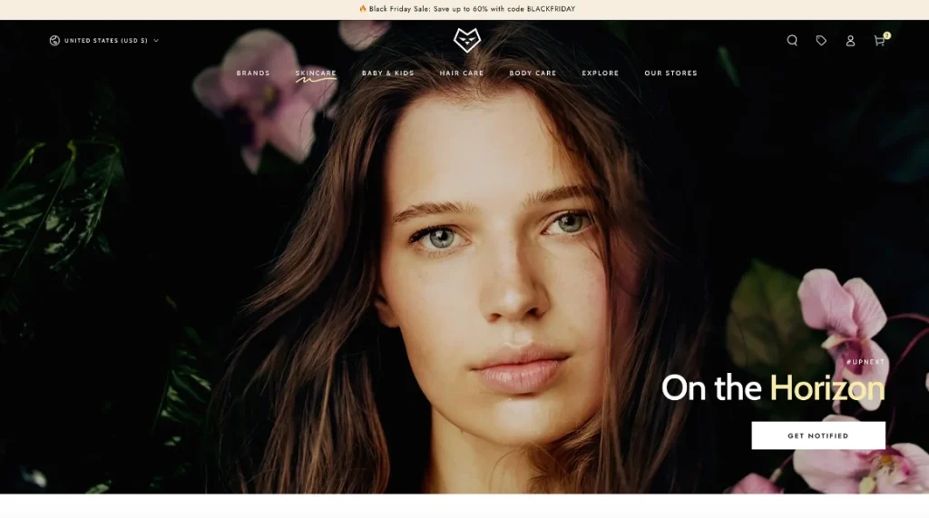 premium shopify themes
