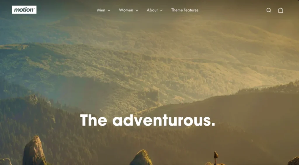 paid shopify themes